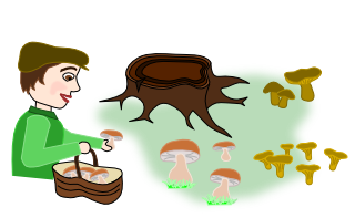 Dessin de mycologue qui ramasse des champignon dans les bois.
