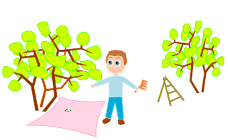 Dessin d'un cultivateur qui ramasse les olives.